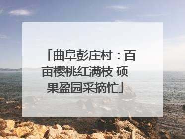 曲阜彭庄村：百亩樱桃红满枝 硕果盈园采摘忙