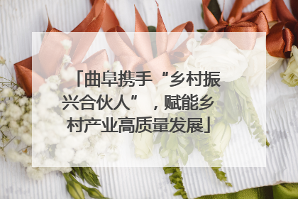 曲阜携手“乡村振兴合伙人”，赋能乡村产业高质量发展
