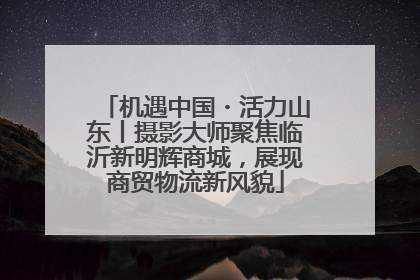 机遇中国・活力山东丨摄影大师聚焦临沂新明辉商城，展现商贸物流新风貌