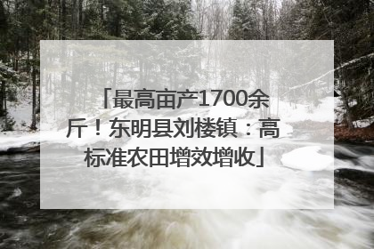 最高亩产1700余斤！东明县刘楼镇：高标准农田增效增收