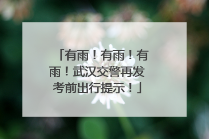 有雨！有雨！有雨！武汉交警再发考前出行提示！