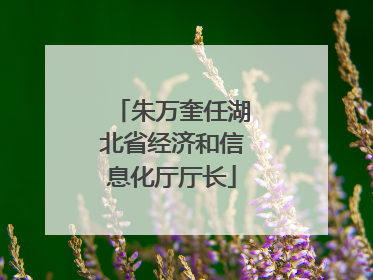 朱万奎任湖北省经济和信息化厅厅长