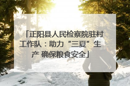 正阳县人民检察院驻村工作队：助力“三夏”生产 确保粮食安全