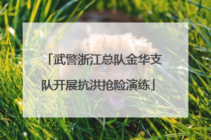 武警浙江总队金华支队开展抗洪抢险演练