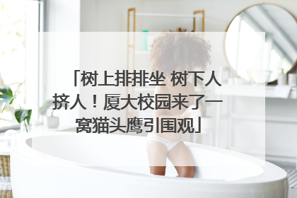 树上排排坐 树下人挤人！厦大校园来了一窝猫头鹰引围观