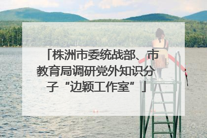 株洲市委统战部、市教育局调研党外知识分子“边颖工作室”