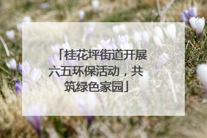 桂花坪街道开展六五环保活动，共筑绿色家园