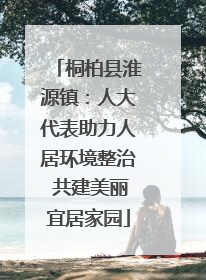桐柏县淮源镇：人大代表助力人居环境整治 共建美丽宜居家园