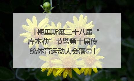 梅里斯第三十八届“库木勒”节暨第十届传统体育运动大会落幕