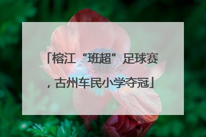 榕江“班超”足球赛，古州车民小学夺冠
