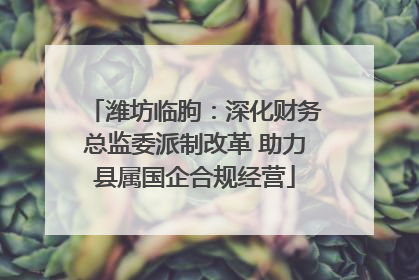 潍坊临朐：深化财务总监委派制改革 助力县属国企合规经营