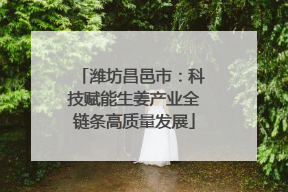潍坊昌邑市：科技赋能生姜产业全链条高质量发展