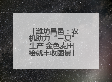 潍坊昌邑：农机助力“三夏”生产 金色麦田绘就丰收图景