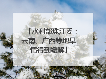 水利部珠江委：云南、广西等地旱情得到缓解