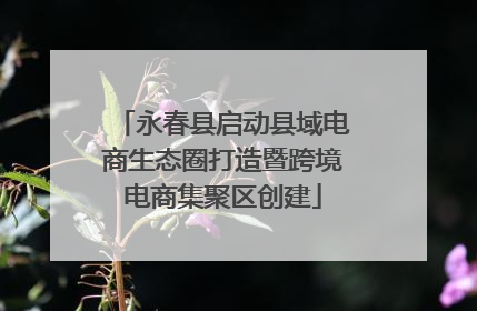 永春县启动县域电商生态圈打造暨跨境电商集聚区创建