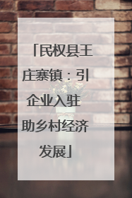 民权县王庄寨镇：引企业入驻 助乡村经济发展
