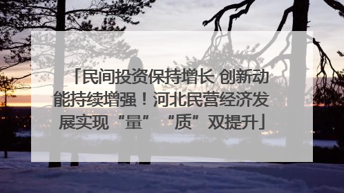 民间投资保持增长 创新动能持续增强！河北民营经济发展实现“量”“质”双提升