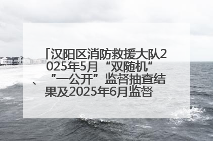 汉阳区消防救援大队2025年5月“双随机”、“一公开”监督抽查结果及2025年6月监督抽查任务公示