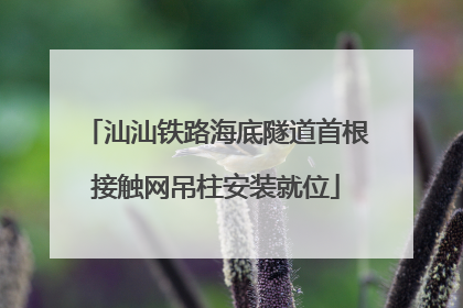 汕汕铁路海底隧道首根接触网吊柱安装就位
