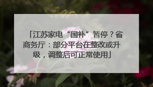 江苏家电“国补”暂停？省商务厅：部分平台在整改或升级，调整后可正常使用