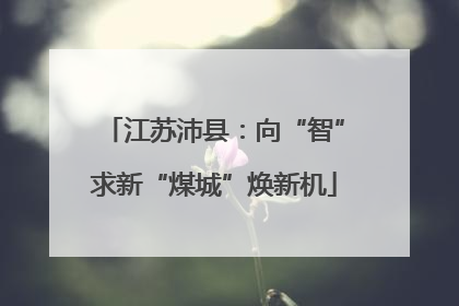 江苏沛县：向“智”求新“煤城”焕新机