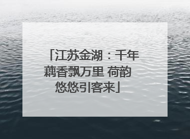 江苏金湖：千年藕香飘万里 荷韵悠悠引客来