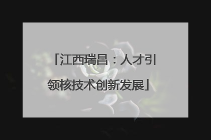 江西瑞昌：人才引领核技术创新发展