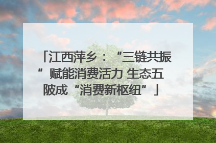 江西萍乡：“三链共振”赋能消费活力 生态五陂成“消费新枢纽”