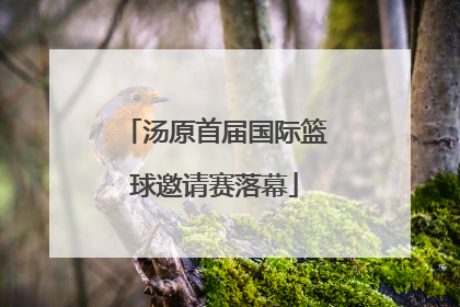 汤原首届国际篮球邀请赛落幕