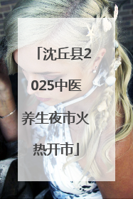 沈丘县2025中医养生夜市火热开市