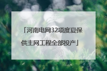 河南电网32项度夏保供主网工程全部投产