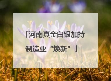 河南真金白银加持制造业“焕新”