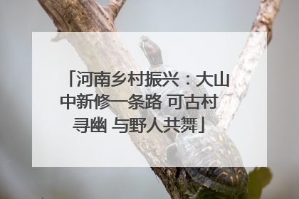 河南乡村振兴：大山中新修一条路 可古村寻幽 与野人共舞