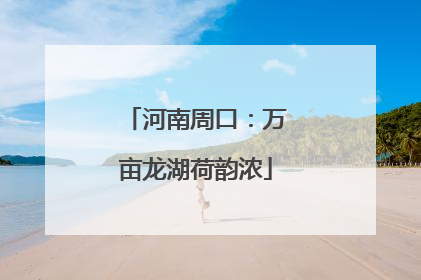河南周口：万亩龙湖荷韵浓