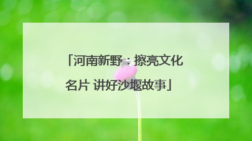 河南新野：擦亮文化名片 讲好沙堰故事