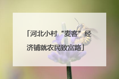河北小村“麦客”经济铺就农民致富路
