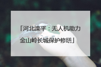 河北滦平：无人机助力金山岭长城保护修缮