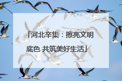 河北辛集：擦亮文明底色 共筑美好生活