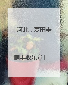 河北：麦田奏响丰收乐章