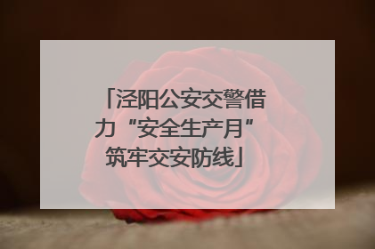 泾阳公安交警借力“安全生产月”筑牢交安防线