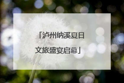 泸州纳溪夏日文旅盛宴启幕