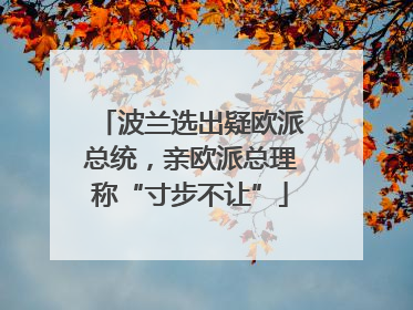 波兰选出疑欧派总统，亲欧派总理称“寸步不让”