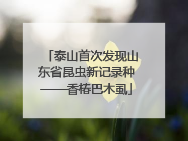 泰山首次发现山东省昆虫新记录种——香椿巴木虱