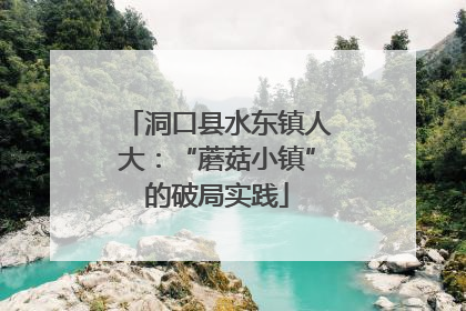 洞口县水东镇人大：“蘑菇小镇”的破局实践