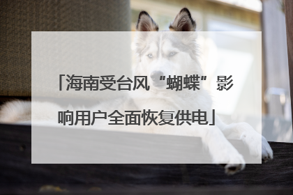 海南受台风“蝴蝶”影响用户全面恢复供电
