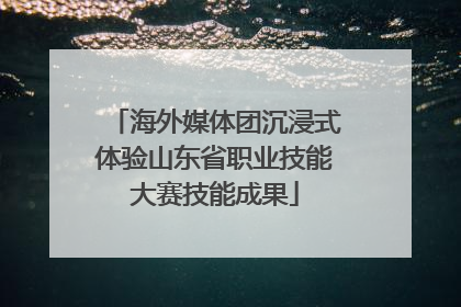 海外媒体团沉浸式体验山东省职业技能大赛技能成果