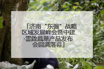 济南“东强”战略区域发展峰会暨中建·雲啟鳳華产品发布会圆满落幕