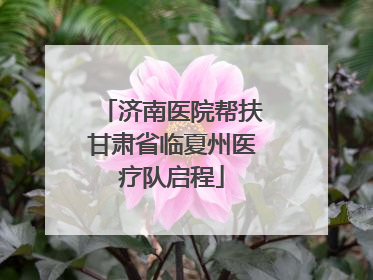 济南医院帮扶甘肃省临夏州医疗队启程