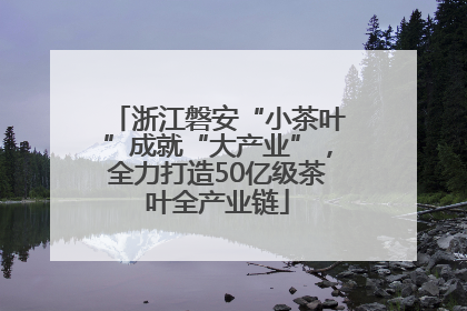 浙江磐安“小茶叶”成就“大产业”，全力打造50亿级茶叶全产业链