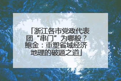 浙江各市党政代表团“串门”为哪般？鲍金：重塑省域经济地理的破题之道
